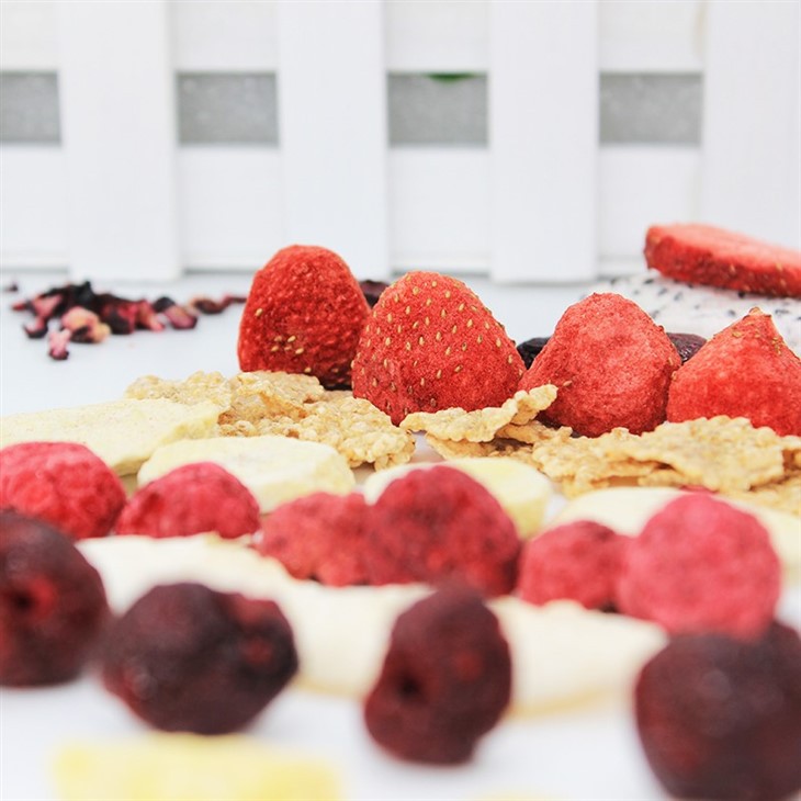 Delicious Orchard Freeze Dried Fruit